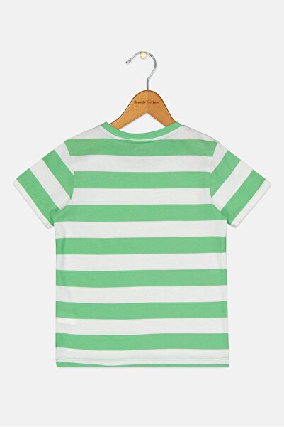 Sinsay Toddlers Boy Stripe Short Sleeve T-Shirt, Multicolor