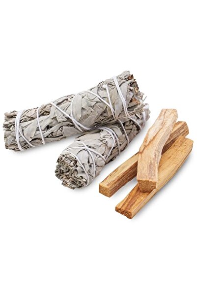 Generic Brand JL Local Smudge Kit - Sage, Palo Santo, Abalone Shell, Feather ...
