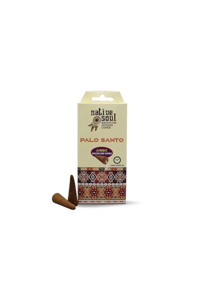 Generic Brand Natural Palo Santo Back Flow Incense Cones