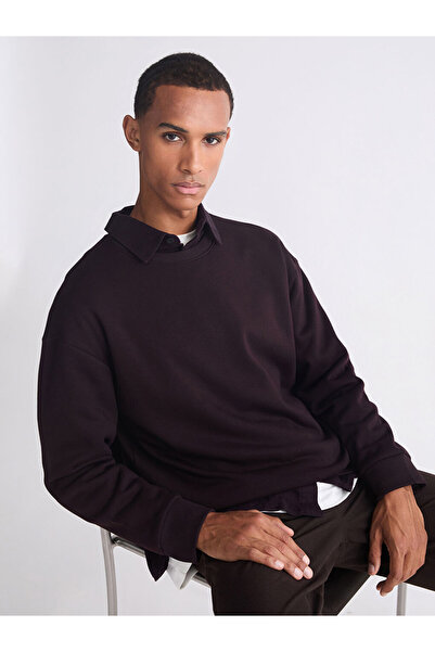 LC Waikiki Lcw vision brown crew neck men's thick sweatshirt