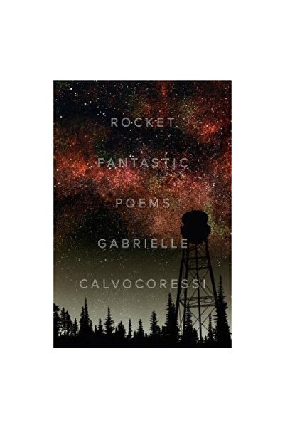 Persea Books Inc Rocket Fantastic: Poems
