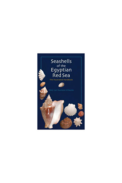 Amer Univ In Cairo Pr Seashells of the Egyptian Red Sea: The Illustrated Hand...