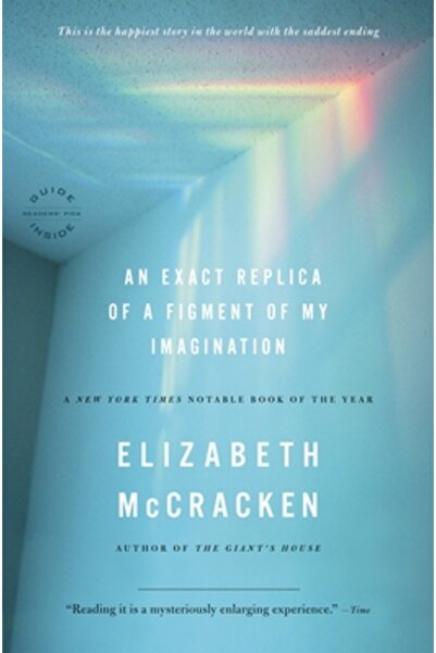 Back Bay Books An Exact Replica of a Figment of My Imagination