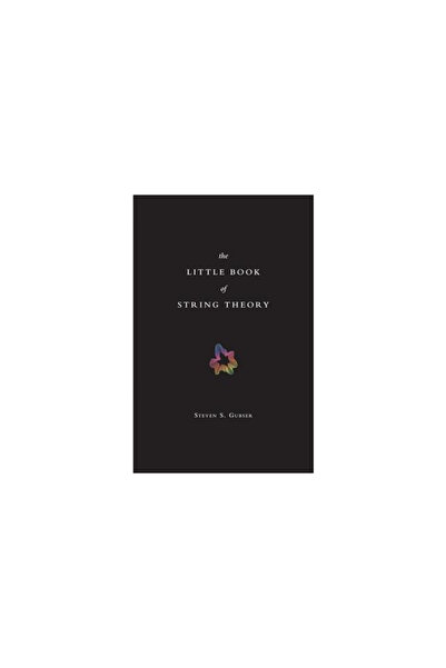 Princeton University Press The Little Book of String Theory