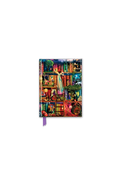 Flame Tree Pub Aimee Stewart: Treasure Hunt Bookshelves (Foiled Journal)