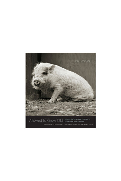 Univ Of Chicago Pr Allowed to Grow Old: Portraits of Elderly Animals from Far...