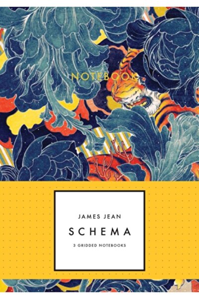 Lulu Pr James Jean: Schema Gridded Notebook