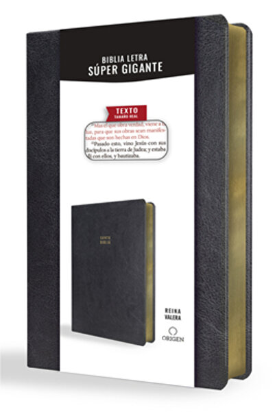 ORİGEN Biblia Reina Valera 1909 Letra S
