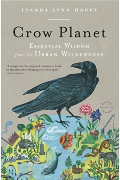 Back Bay Books Crow Planet: Essential Wisdom from the Urban Wilderness