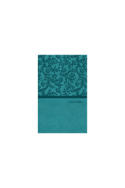 Vida Publ Biblia Reina-Valera 1960, Tierra Santa, Ultrafina Letra Grande, Lea...