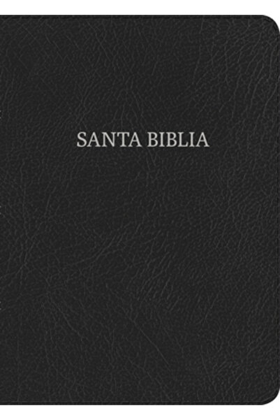 Broadman Pr NVI Biblia Letra Super Gigante Negro, Piel Fabricada