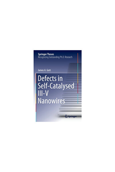 Springer Nature Defects in Self-Catalysed III-V Nanowires