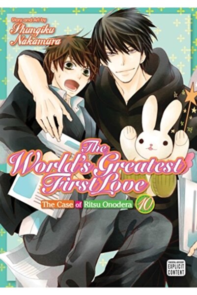 Sublime The World's Greatest First Love, Vol. 10: The Case of Ritsu Onodera