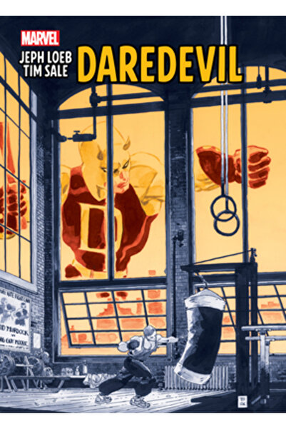 Marvel Comics Group Jeph Loeb & Tim Sale: Daredevil Gallery Edition