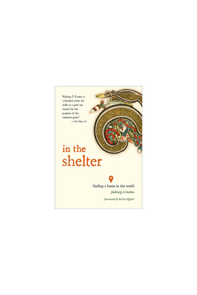 Broadleaf Books In the Shelter: Finding a Home in the World