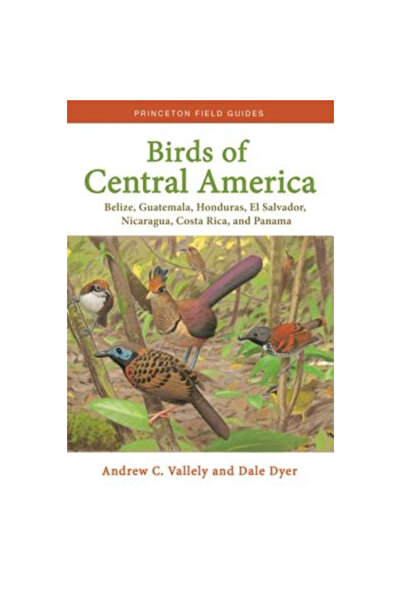 Princeton Univ Pr Birds of Central America: Belize, Guatemala, Honduras, El S...