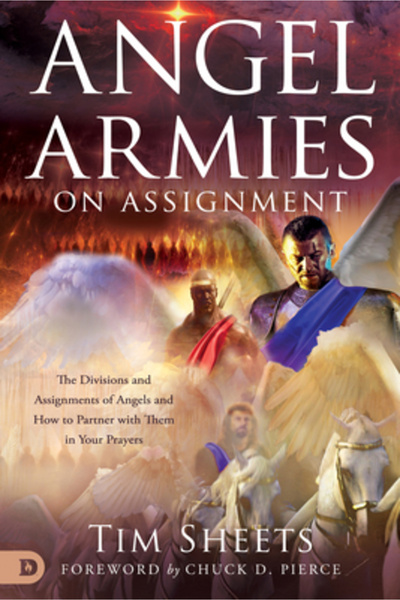 Destiny Image Inc Angel Armies on Assignment: The Divisions and Assignments o...
