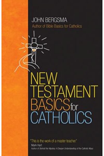 Cambridge Univ Pr New Testament Basics for Catholics