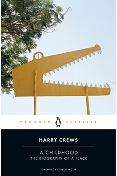 Penguin Group A Childhood: The Biography of a Place