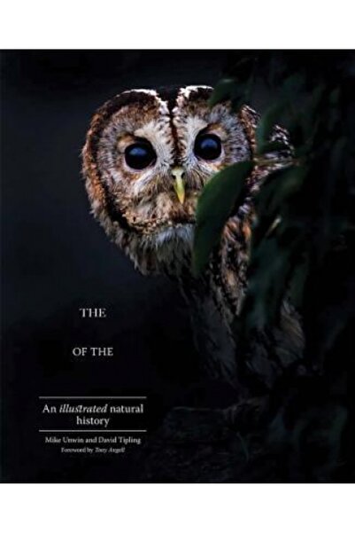 Yale Univ Pr Enigma bufniței: o istorie ilustrată