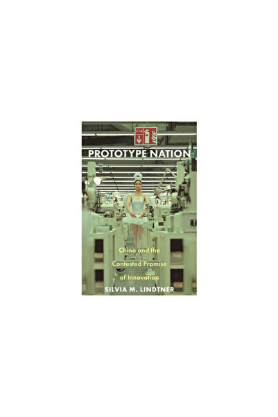 Princeton Univ Pr Prototype Nation: China and the Contested Promise of Innovation