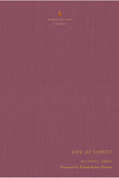 Word On Fire Life of Christ