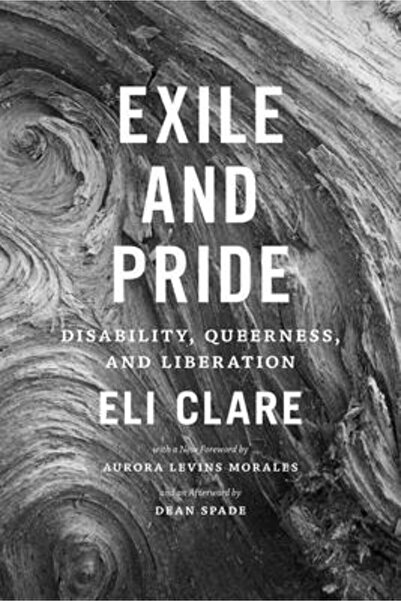 Zondervan Pub House Exile and Pride: Disability, Queerness, and Liberation