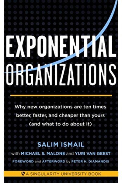 Kessinger Pub Llc Exponential Organizations: Why New Organizations Are Ten Ti...