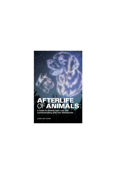 Rockridge Pr Viața de apoi a animalelor: Un ghid pentru vindecarea după o pie...