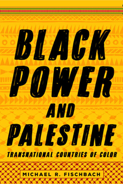 Stanford Univ Pr Black Power and Palestine: Transnational Countries of Color