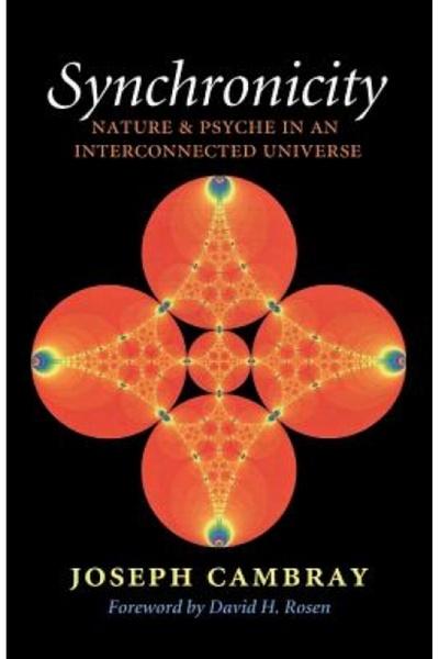 Kessinger Pub Llc Sincronicitate: Natură și Psihic într-un Univers Interconectat