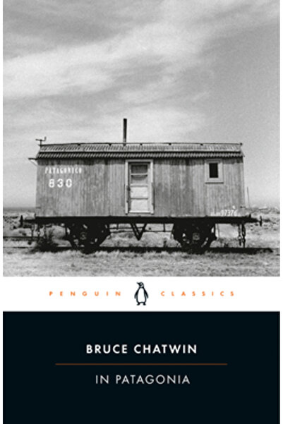 Penguin Books In Patagonia