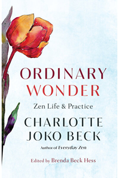 Shambhala Ordinary Wonder: Zen Life and Practice