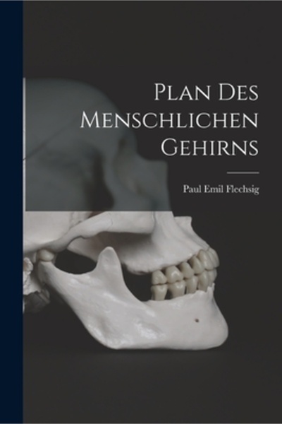 Legare Street Pr Plan Des Menschlichen Gehirns