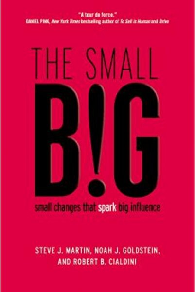 Princeton Univ Pr The Small Big: Small Changes That Spark Big Influence