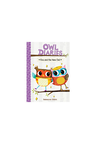 Chapter Books Eva and the New Owl: #4