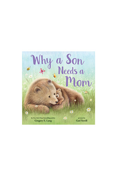 Sourcebooks Wonderland Why a Son Needs a Mom