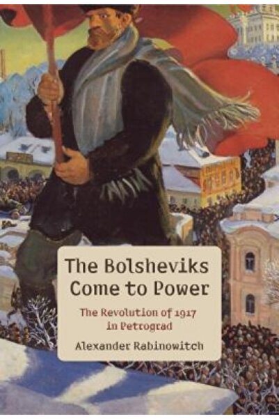 Cambridge Univ Pr Bolșevicii vin la putere: Revoluția din 1917 de la Petrograd