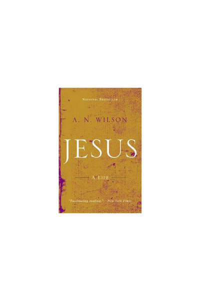 W W Norton & Co Inc Jesus: A Life