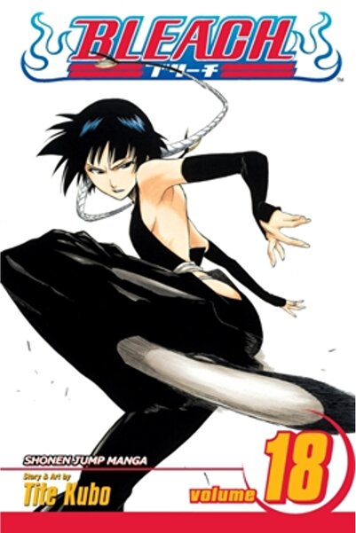 Viz Media Bleach, Volume 18