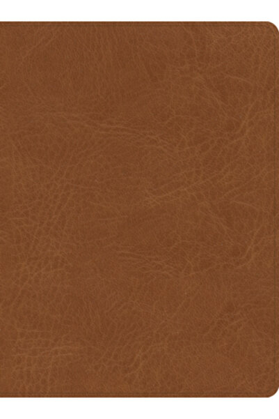 Holman Bibles CSB He Reads Truth Bible, Saddle Leathertouch, Indexed