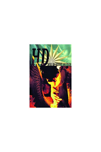 City Lights Notes on Thought and Vision