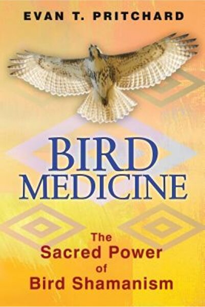 Thames & Hudson Bird Medicine: The Sacred Power of Bird Shamanism
