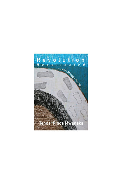Bookbaby Revolution Recollected and New Struggle Poems