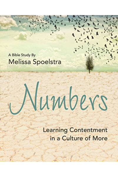 Abingdon Pr Numbers - Women's Bible Study Participant Workbook: Learning Cont...