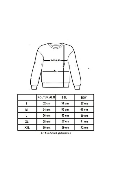 SARI Denmark Dansk Sweatshirt