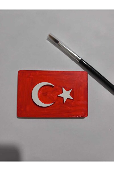 ZYRO KİDS 20 ADET TÜRK BAYRAĞI BOYAMA - 23 Nisan Ulusal Egemenlik ve Çocuk Ba...