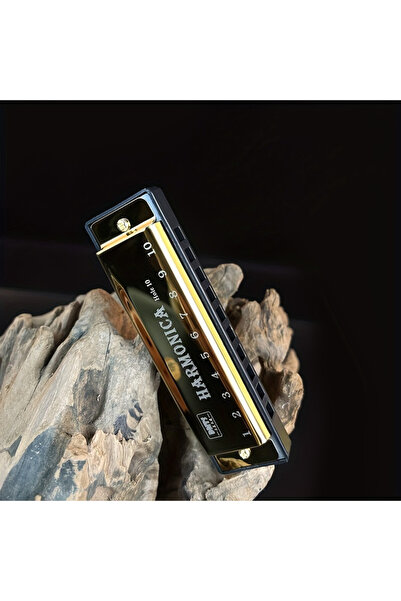 choice2 Y01234- هارمونيكا ذهبية بمفتاح دو، هارمونيكا كروماتية بعشرة ثقوب، مع ...