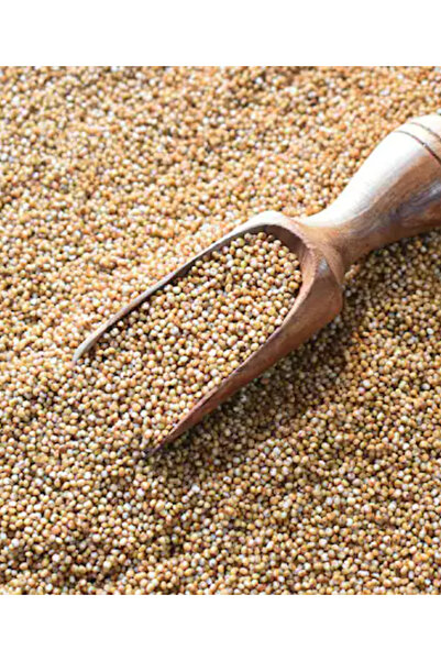 Chakra Natural Millet - Kodo Millet 500g x 12