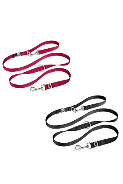 Curli مقود نايلون قابل للتعديل للكلاب